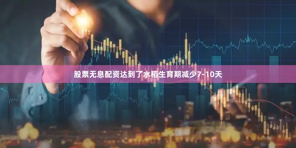 股票无息配资达到了水稻生育期减少7-10天